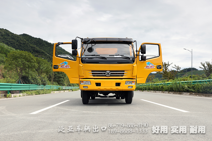 东风4x2轻卡,轻卡越野专用车,160马力小型卡车,小型卡车定制,出口微卡厂家,越野专用车,出口专用车厂家