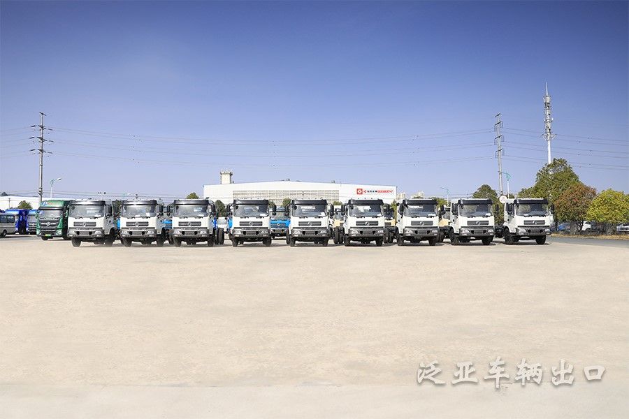 <strong>东风4x2平头越野载货车大场景底盘批量展示</strong>